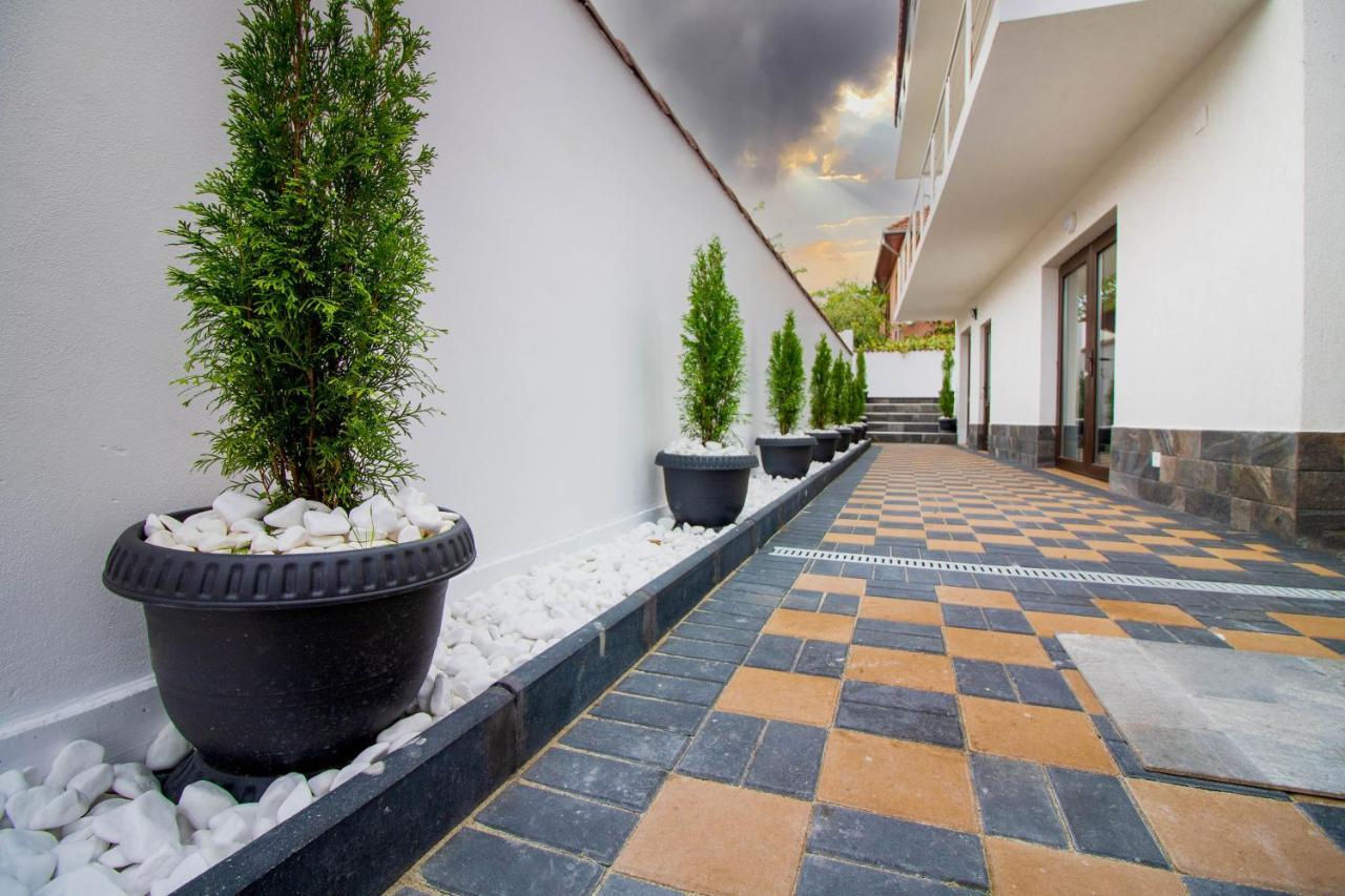 Hotel Pensiunea D & Ylan Novaci-Străini Exterior foto